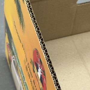 Caja de Cartón Corrugado Personalizada Quyet Thang para Cocos Frescos, Embalaje de Exportación con Orificios de Ventilación, Resistente y Reciclable - Product Image 4