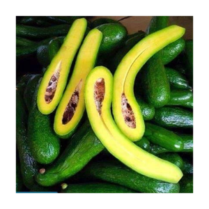 Aguacate Congelado de Alto Rendimiento IQF al Mejor Precio para Uso Industrial en Bebidas y Postres - Product Image 3