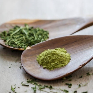 High Quality Organic Moringa Leaf Powder Pure Dried Green Superfood Powder Bulk Leaf Powder Ingredient Tea Mix Supply - Product Image 4