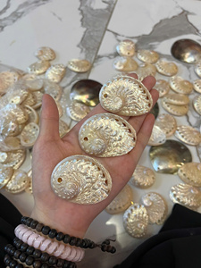 Conchas de abulón perforadas al por mayor con orificio para la fabricación de joyas, collares, pendientes, manualidades DIY, suministros de Vietnam - Product Image 2