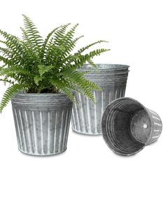 Maceta Redonda de Hierro Galvanizado para Plantas Suculentas, Decoración y Aplicaciones Elegantes de Exhibición en Jardines - Product Image 1