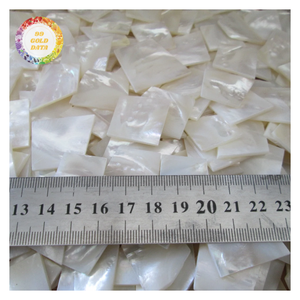 Perlas de Concha Delgadas al por Mayor para Instrumentos Musicales, Manualidades y Decoración - CARYLN - Product Image 4