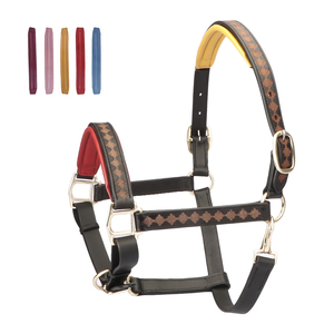 Cabestro de Cuero Genuino para Caballo con Corona Acolchada Suave, Ajustable, de Cuero Premium, Acolchado Multicolor, Herrajes de Latón, OEM - Product Image 2