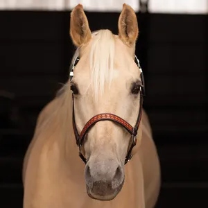 Harnais pour cheval en cuir fantaisie fait main, design perlé coloré, style western réglable, durable, confortable, quincaillerie en laiton ADIBA - Product Image 5