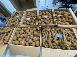 Juguete Masticable para Perros BLUE LOTUS, 100% Ecológico, de Coco, Seguro, Biodegradable y Duradero, para el Cuidado Dental en Interiores - Product Image 6