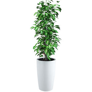 Brice Gardening Grand pot de fleurs en plastique PP pour salon, auto-arrosant, pour plantes d'intérieur - Product Image 4