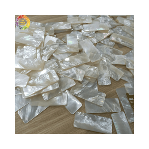 เปลือกหอยมุกธรรมชาติสำหรับตกแต่งเฟอร์นิเจอร์ - Product Image 4