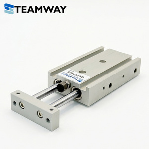 ชุดรางเลื่อน TEAMWAY รุ่น GSB/GSU, โต๊ะลมแบบแกนคู่, บุชชิ่งแบบเผา และตัวเลือกตลับลูกปืนเชิงเส้น, ขนาดรู 6 มม.-32 มม. - Product Image 2