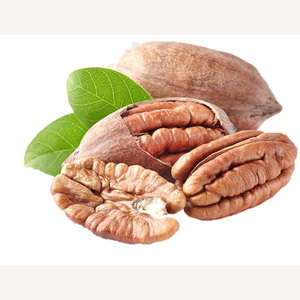 Venta directa de fábrica de piñones de pino natural abiertos para importación - Product Image 4