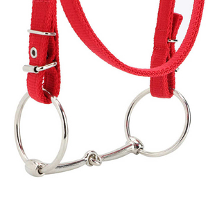OEM Customizable English Saddle Style Metal and Leather Horse Bridle Hanger Features Private Logo and <b>Halters</b> Cheap Price - Product Image 3