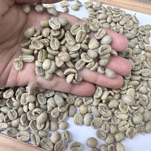Grains de café vert Arabica du Vietnam SCR13 SCR16 SCR18 Entièrement lavés Qualité Premium Exportation Vente en gros pour Torréfacteurs Importateurs ANNA - Product Image 6