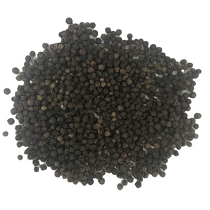 Meilleur prix Poivre noir de haute qualité 500 GL 550 GL 5MM FAQ Épice en gros Poivre noir séché +84 352 542 206 - Product Image 1