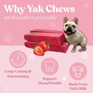 Friandises écologiques pour chiens au fromage de yak de l'Himalaya, saveur fraise, sans céréales, taille personnalisable, style animal - Product Image 4