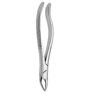 Forceps d'extraction dentaire en acier inoxydable avec poignée moletée, instrument chirurgical manuel de classe I - Product Image 5