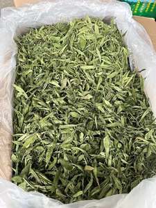 Hojas de Stevia Secas de Fabricante Vietnamita, Bolsa de 100g para Té Diario y Edulcorante Natural - Product Image 1