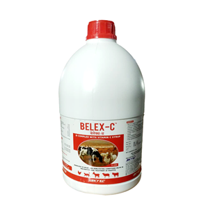 อาหารเสริมวิตามินซีแบบน้ำเชื่อมสำหรับปศุสัตว์ ยี่ห้อ Belex-C B Complex ขายดีที่สุด เพื่อเสริมสร้างโภชนาการสัตว์  มีจำหน่ายแล้ว - Product Image 5