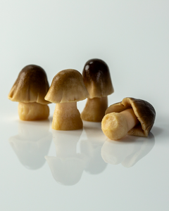 HEALTH SUPPORT VIET DELTA Champignons de paille frais cultivés en conserve en saumure, ingrédients propres, compatible végétalien - Product Image 1