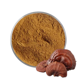 Approvisionnement en gros de poudre de champignon Reishi 100% pure, poudre naturelle de Ganoderma Lucidum, compléments alimentaires à base de plantes pour le thé et le café, en provenance d'Inde - Product Image 1