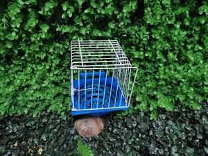 Nichoir suspendu pour l'élevage des oiseaux, en métal et plastique, pour pinsons, agapornis, perruches, canaris, pour la ponte des œufs - Product Image 3