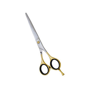 Tijeras Profesionales de Acero Inoxidable de 6 Pulgadas para Peluquería, Tijeras de Corte de Pelo Hechas a Mano para Uso en Belleza, Plegables - Product Image 1