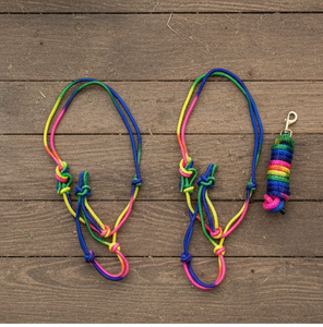 Cabestro elegante ZEN HORSE WORLD de nailon y arcoíris con cuerda de plomo de alta calidad, estilo elegante, para hombre y mujer - Product Image 2