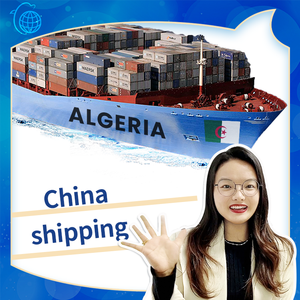 Expédition de fret express aérien à faible coût transitaire aérien professionnel/le moins cher de la Chine vers l'Algérie - Product Image 6