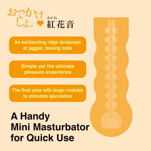 Juguete Sexual de Alta Calidad, Vagina Artificial de Primera Clase, Modelo Limitado Odekake-Shiyo World Kougei P27-05, Fabricado en Japón - Product Image 4