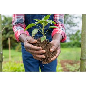 High Purity Organic Fertilizers for <b>Plants</b> <b>Soil</b> Enrichment and Nutritional Support - Product Image 6