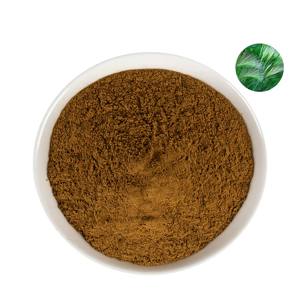 Proveedor Mayorista de Polvo de Cola de Caballo 100% Natural y Puro de Grado Cosmético, Polvo de Equisetum arvense para la Salud de la Piel y el Cabello - Product Image 3