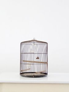 Jaula para pájaros de hierro con soporte y estante de almacenamiento, diseño multifuncional para organizar suministros para aves y fácil movilidad - Product Image 3