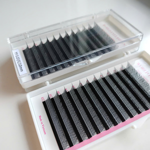 Extensions de cils individuels synthétiques faits à la main de haute qualité, volume en forme de W 0.07 YY, avec logo personnalisé - Product Image 1
