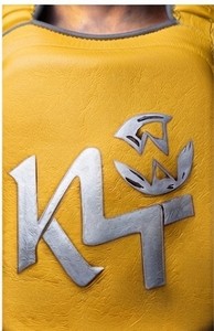 Protège-poitrine unisexe adulte KLTW INT'L pour Muay Thai et Taekwondo, personnalisable avec logo, en cuir PC/PVC durable, toutes couleurs - Product Image 5