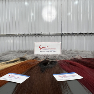 Extensions de cheveux à fermeture en dentelle droite Remy vietnamienne Cheveux humains Texture naturelle douce et soyeuse Vente en gros - Product Image 1
