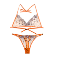 Ensemble de lingerie sportive sexy pour femmes, soutien-gorge en dentelle et culotte hipster, 2 pièces, avec armatures, OEM ODM, logo personnalisé, séchage rapide, respirant, antibactérien