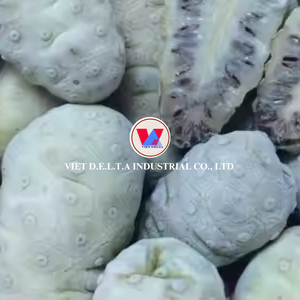 Jus de fruit de noni naturel premium du Vietnam, 100% pur fruit tropical - Product Image 4