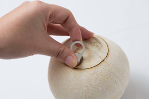 Venta al por Mayor de Pulpa de Coco Joven Semidescascarillada Premium, Alta Dulzura, Empaque para Exportación a Granel - Product Image 4