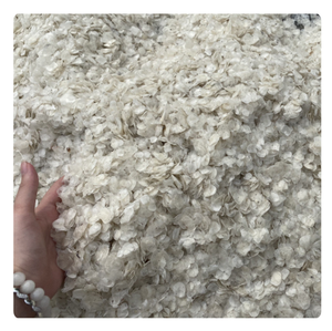 เกล็ดปลาเวียดนามพรีเมี่ยม | ตากแห้งมีคอลลาเจนสูง - Product Image 5