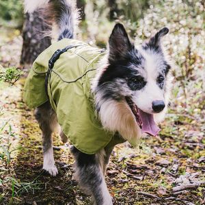Gilet Sportivo Impermeabile e Caldo per Cani di Piccola Taglia, Verde, Taglia 5XL con Cordoncino Regolabile, Abbigliamento Comodo - Product Image 2