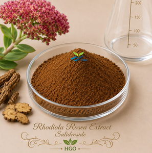 HGO Suministro directo de fábrica Extracto de Rhodiola Rosea natural puro (grado alimenticio) Especificación Salidrosida 90% (extracto estandarizado) - Product Image 1