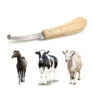 Cuchillo de Herrador de Acero de Damasco Premium IRON para Recorte de Herraduras, Hoja Hecha a Mano, Herramientas Veterinarias, OEM, Marca Privada - Product Image 6