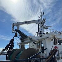 Guindaste Hidráulico de Lança Reta Personalizável de 3/5/6/8 Toneladas para Embarcações de Pesca com Sistema de Controle Remoto Sem Fio