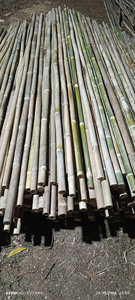 Natural Bamboo Plant Support <b>Poles</b> Plastic Free <b>Garden</b> Supply <b>for</b> Sustainable Growing Projects - Product Image 2