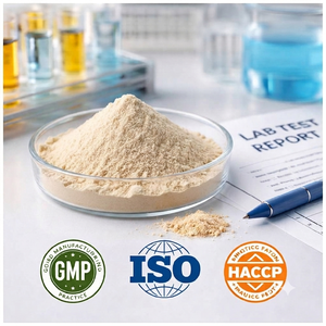Extracto de Shatavari al por mayor, polvo de extracto de raíz de Asparagus Racemosus para fabricantes y proveedores a granel - Product Image 4