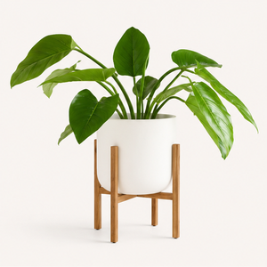 Support de plantes en bois moderne réglable, support de pot de fleurs en bois écologique pour la décoration intérieure du salon - Product Image 1