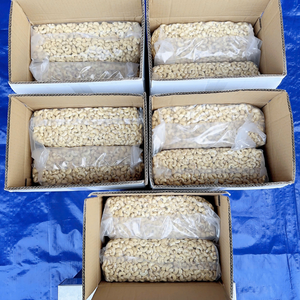 Factory Price Cashew <b>Nuts</b> Vietnamese Cashew Kernels Kaju SANTIGO Caju Low MOQ Vietnam Origin - Product Image 5
