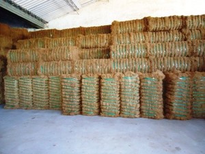 Fibra de Coco en Fardos con Longitud de 5-25 cm y Baja Humedad para la Fabricación de Cuerdas, Colchones y Productos de Tapicería |   Exportador de la India - Product Image 6