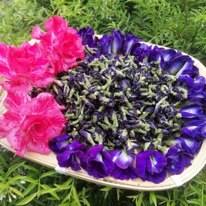Proveedor mayorista de flores de guisante mariposa secas naturales de Vietnam, flores de guisante mariposa secas premium para uso como ingrediente en bebidas - Product Image 5