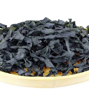 Algas marinas secas al por mayor <span class=keywords><strong>Gelidium</strong></span> algas secas kelp kont - Product Image 1