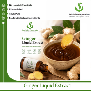 Extrait de gingembre liquide pour usage commercial en vrac, idéal pour la fabrication alimentaire, les applications culinaires et les projets d'amélioration de la saveur - Product Image 3