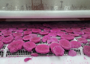 Mejor Precio en Cubos de Fruta del Dragón Congelados, Pulpa Roja y Blanca, Paquete de Cartón a Granel, Alta Calidad - Sra. Tarina - Product Image 5